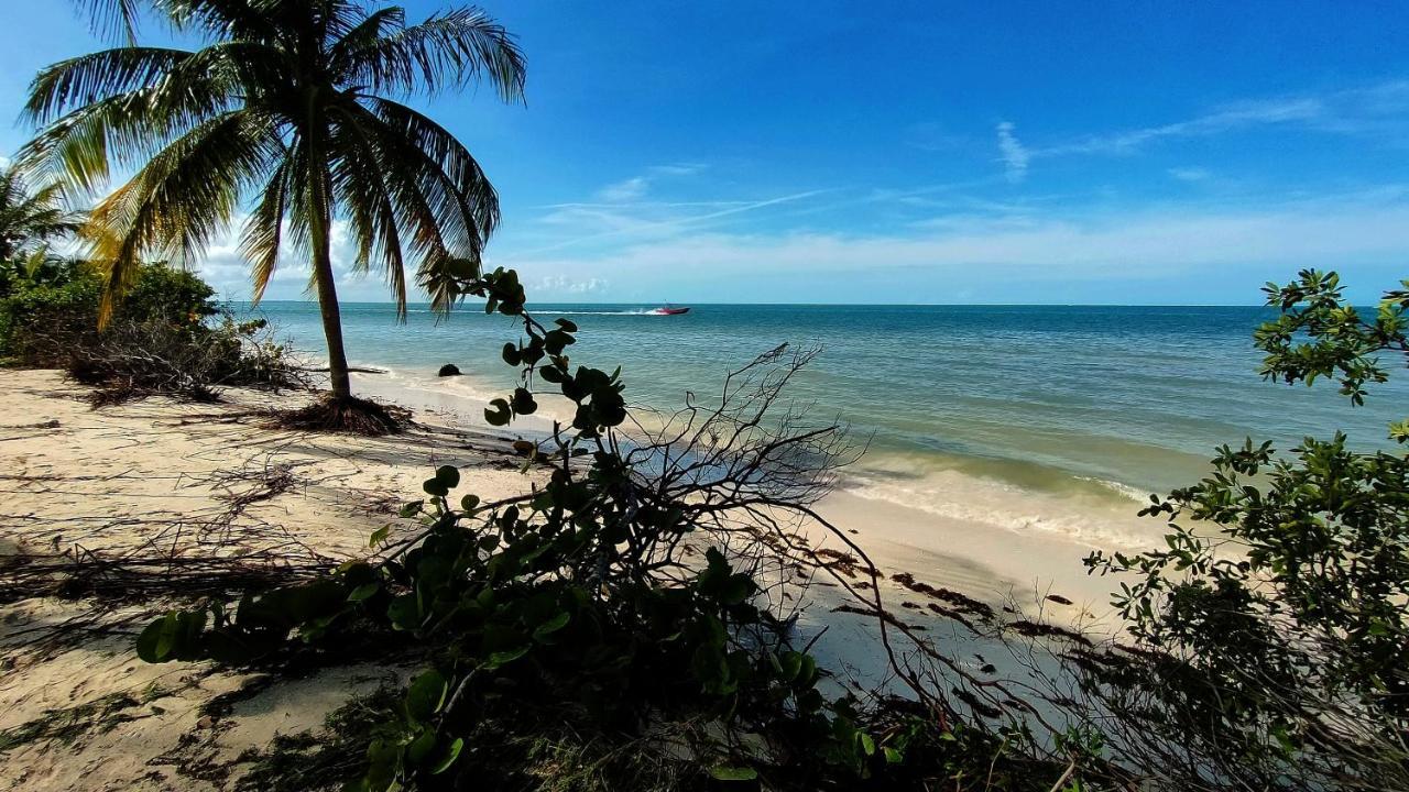 Sak Balam Villa Holbox Eksteriør billede